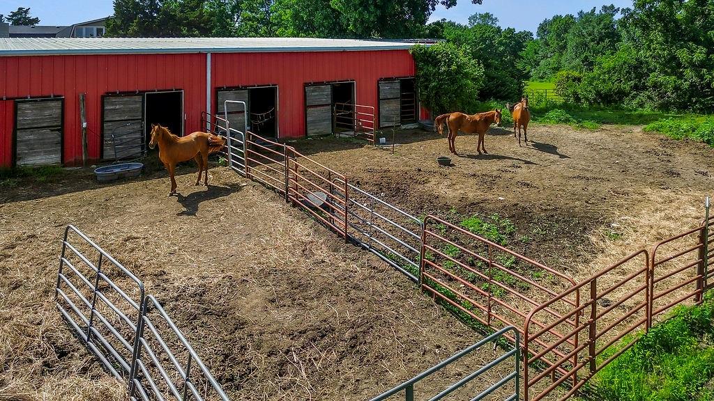 5973 Ogg Road Property Photo 48