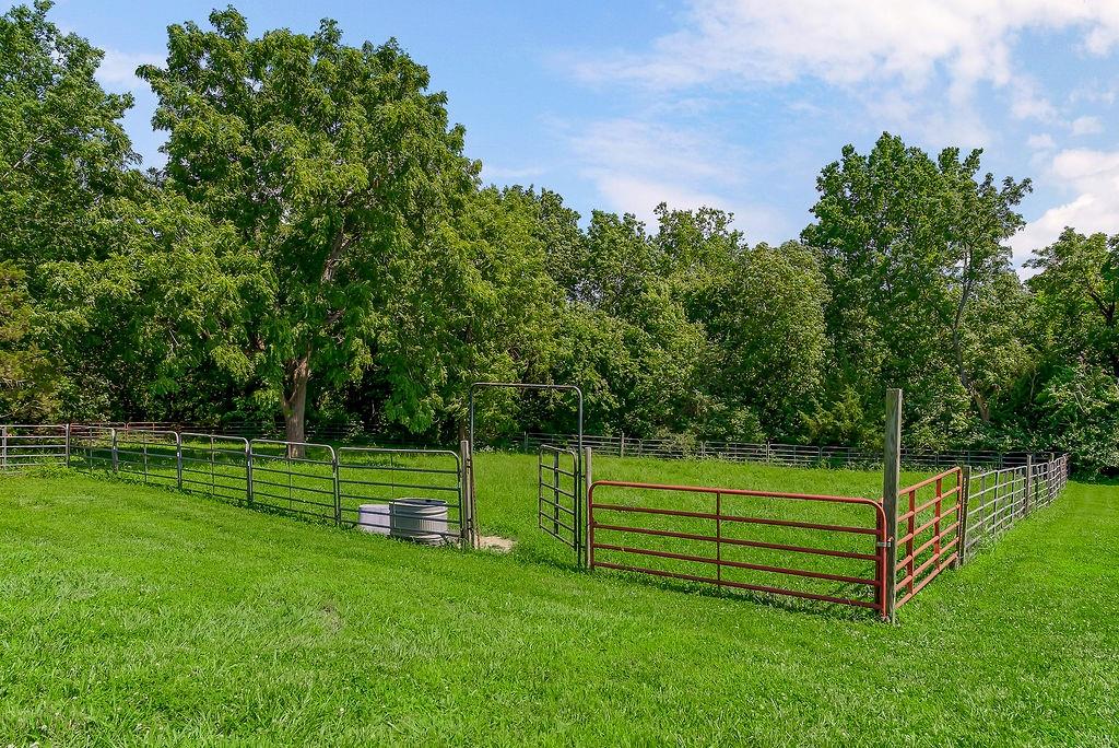 5973 Ogg Road Property Photo 56