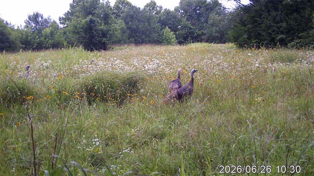 6237 Ew 3 Road Property Photo 4