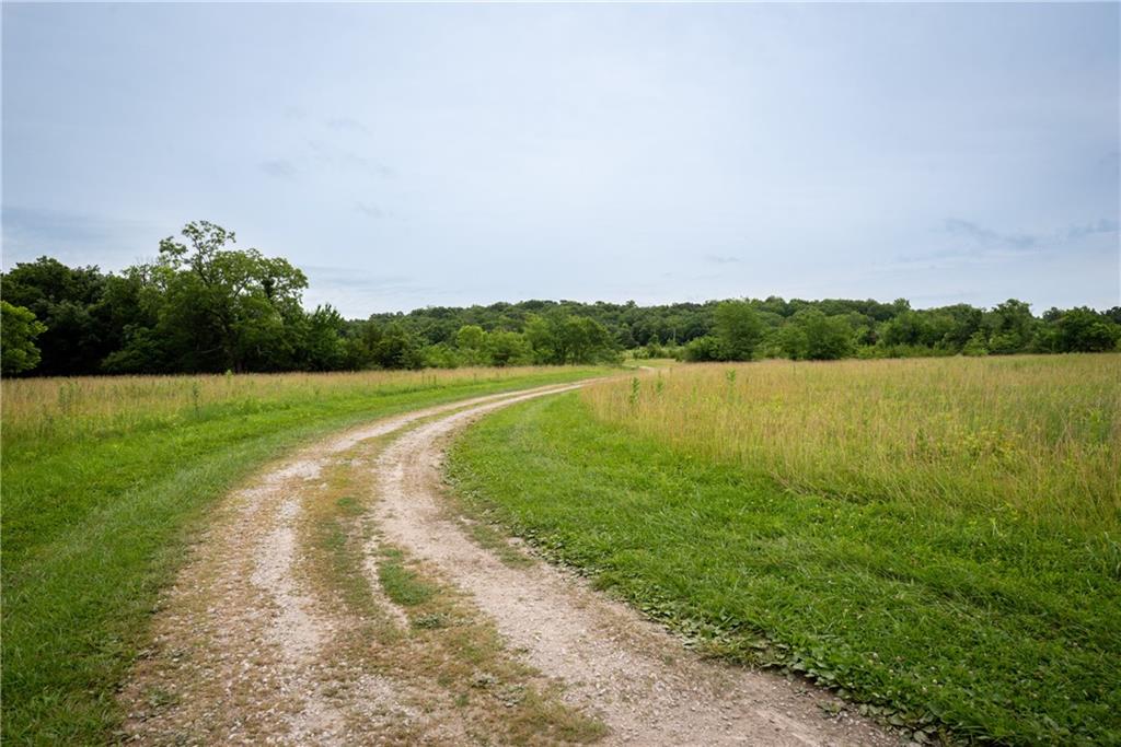 34664 Spring Valley Road Property Photo 6
