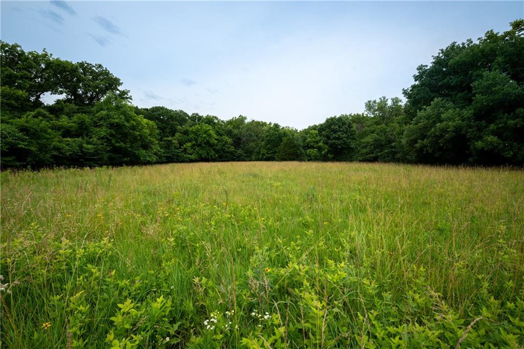 34664 Spring Valley Road Property Photo 12