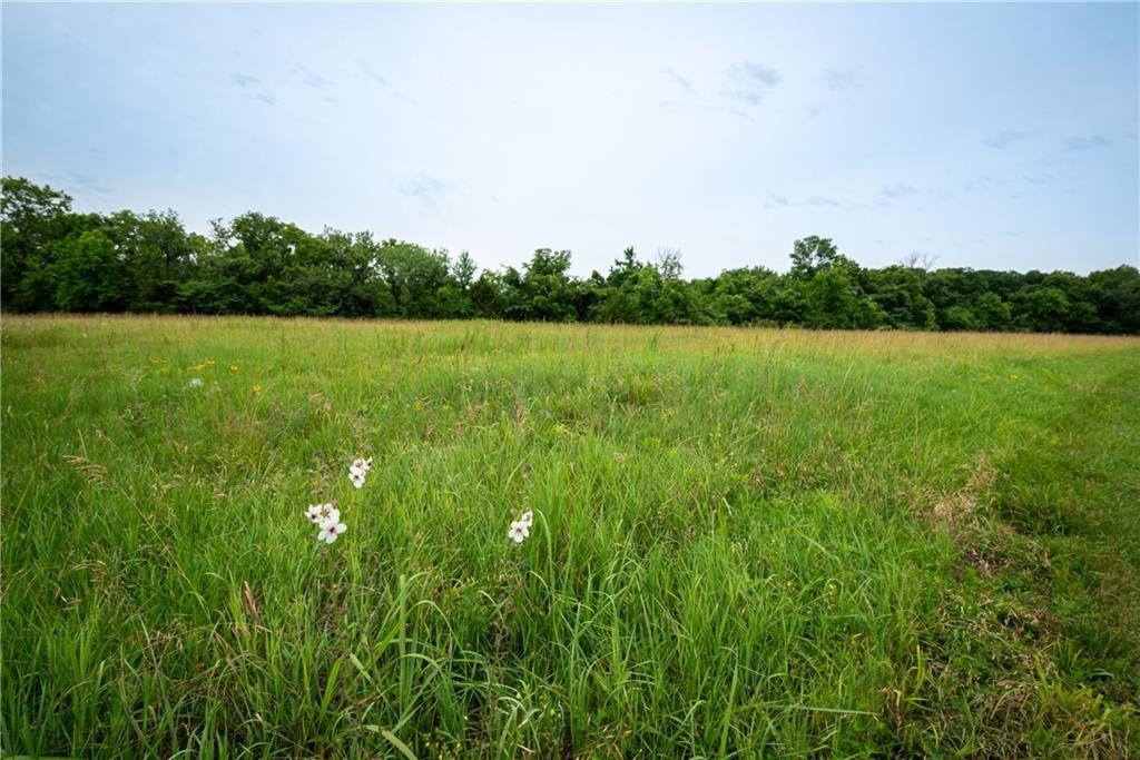 34664 Spring Valley Road Property Photo 13