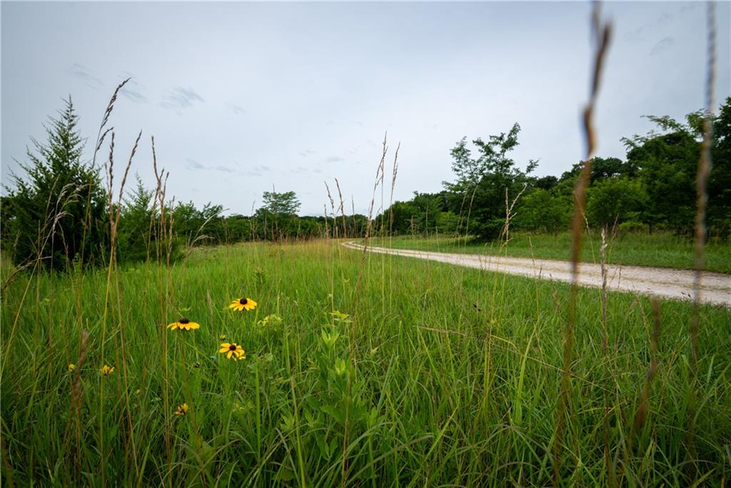 34664 Spring Valley Road Property Photo 14