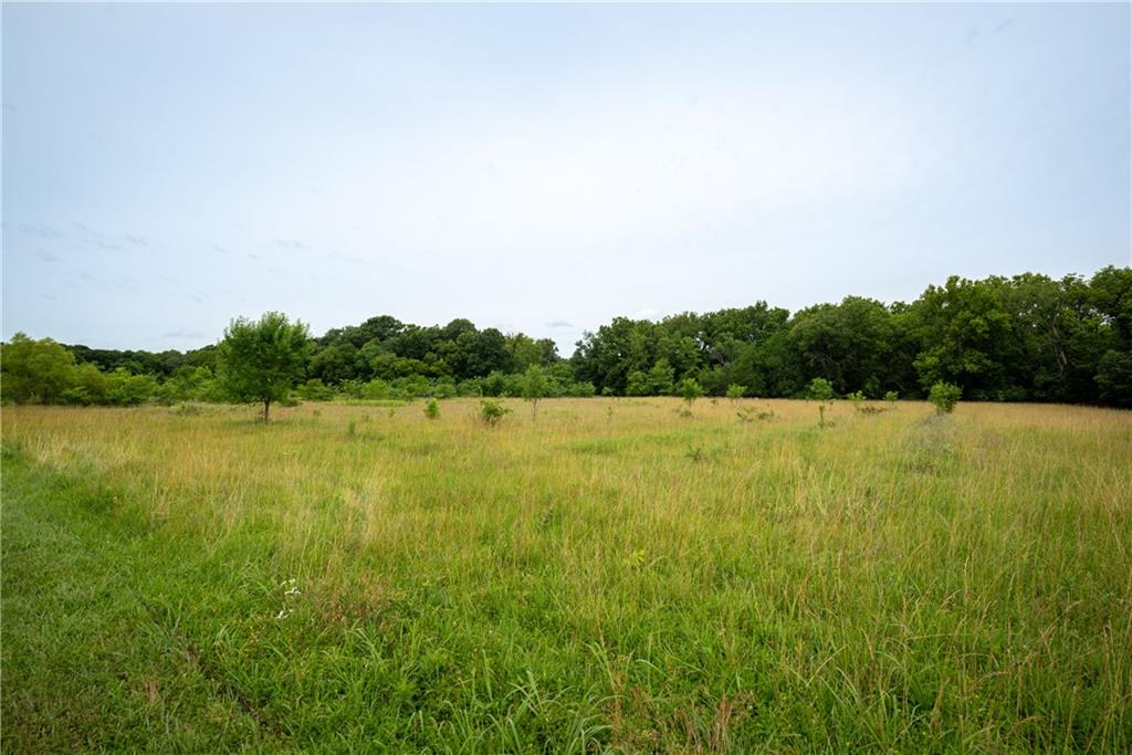 34664 Spring Valley Road Property Photo 15