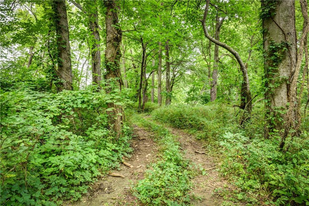 34664 Spring Valley Road Property Photo 20