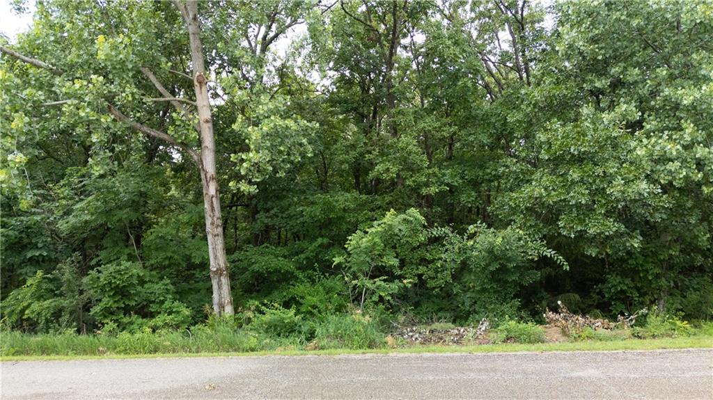 Lot 68 591 Road Property Photo 9
