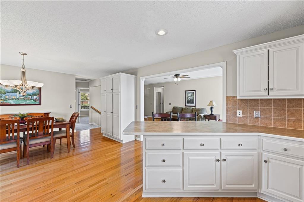 523 Cedar Falls Court Property Photo 14