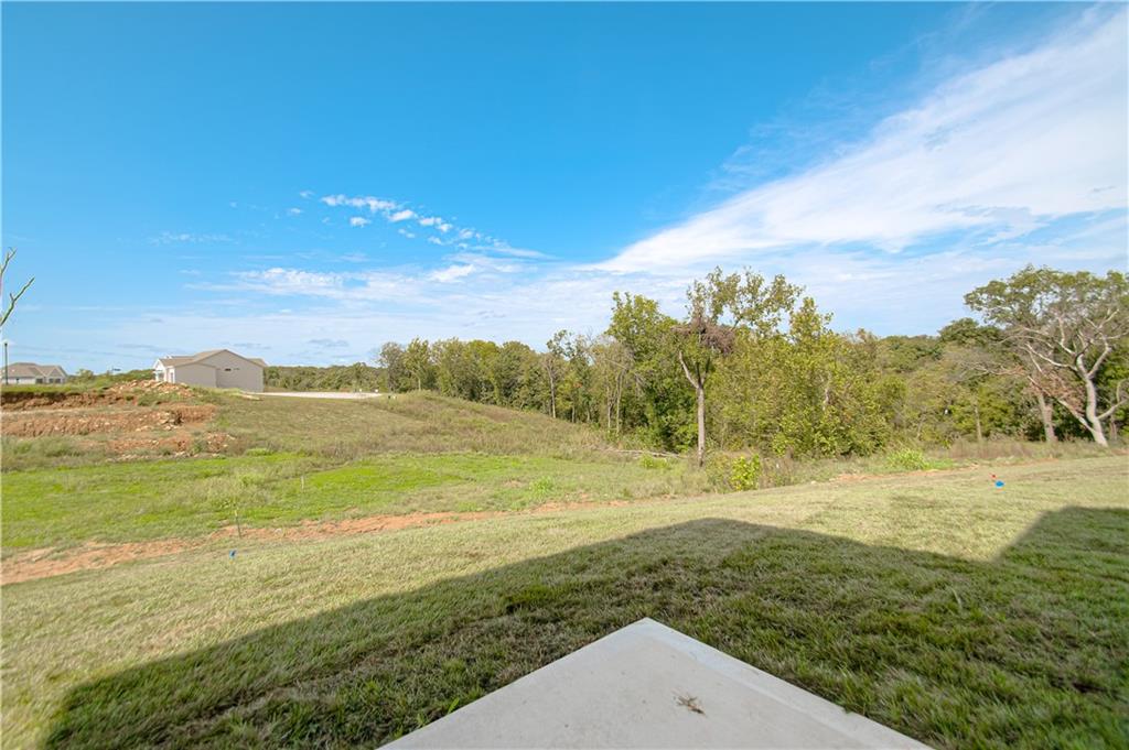 12480 Appaloosa Street Property Photo 43