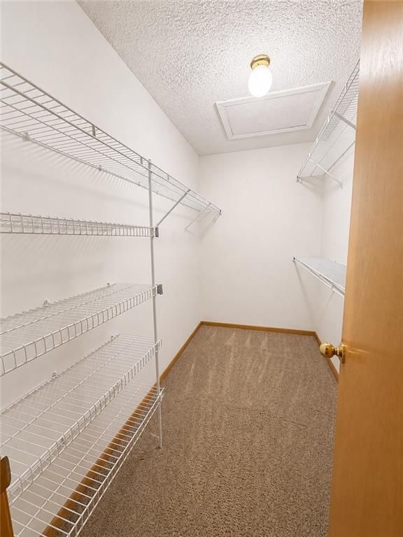 1181 E Meadow Lane Property Photo 22