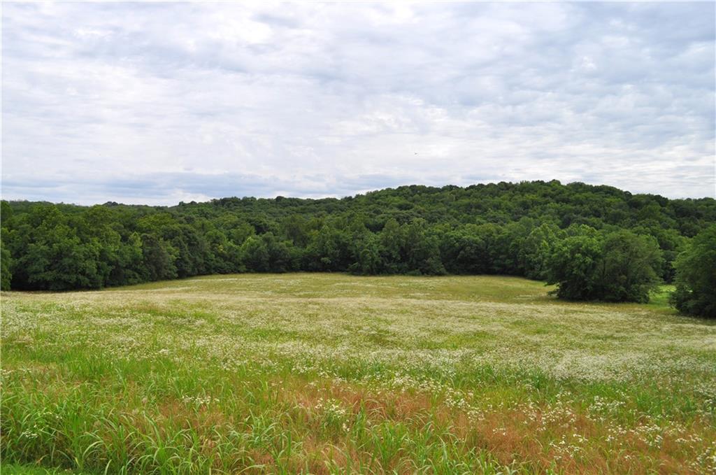 33135 Iatan Road Property Photo 23