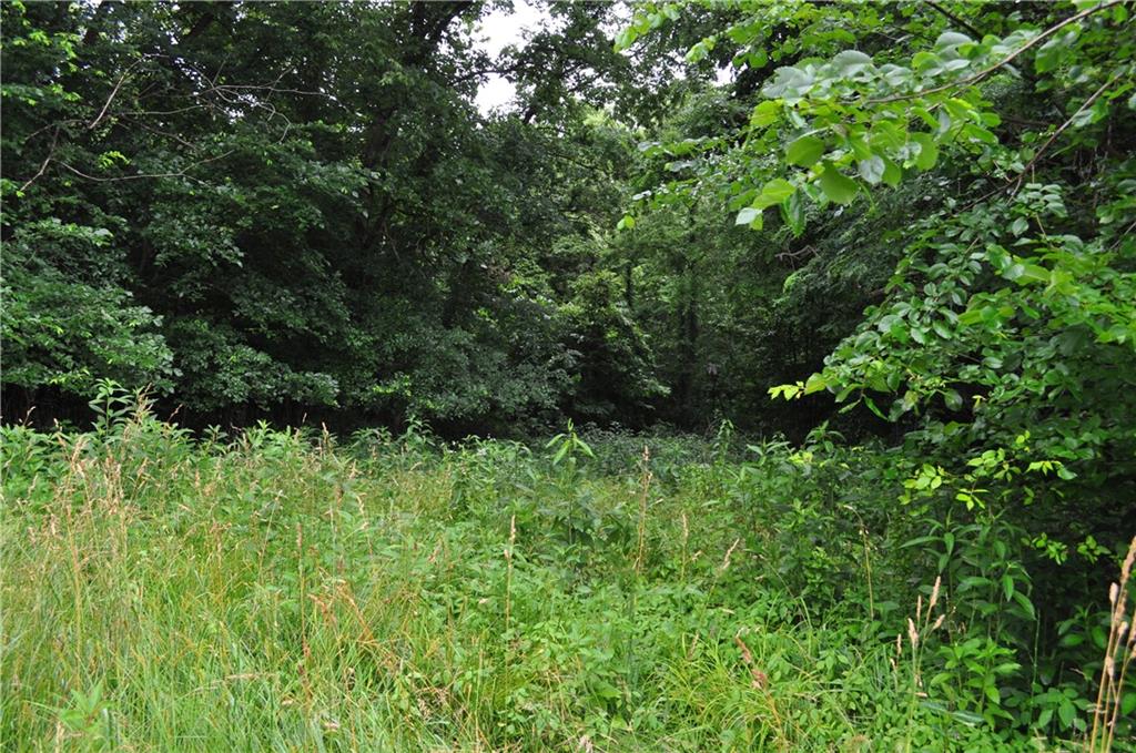 33135 Iatan Road Property Photo 34