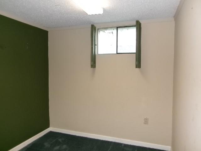 504 Alfalfa Lane Property Photo 12