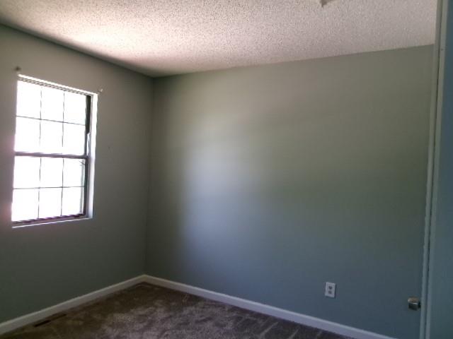 504 Alfalfa Lane Property Photo 18