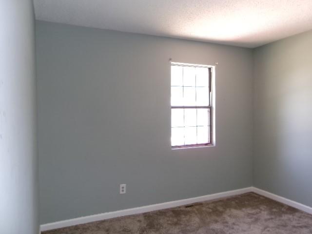 504 Alfalfa Lane Property Photo 19