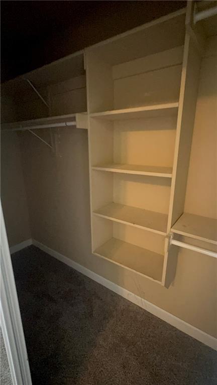 9021 Gala Drive Property Photo 7