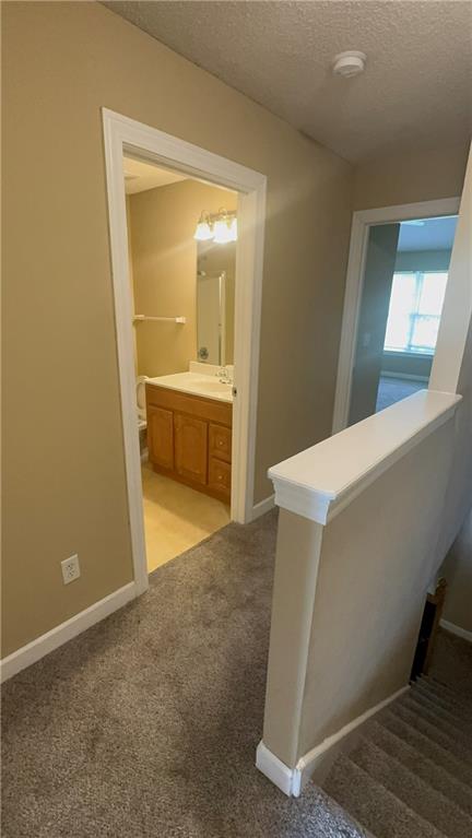9021 Gala Drive Property Photo 14