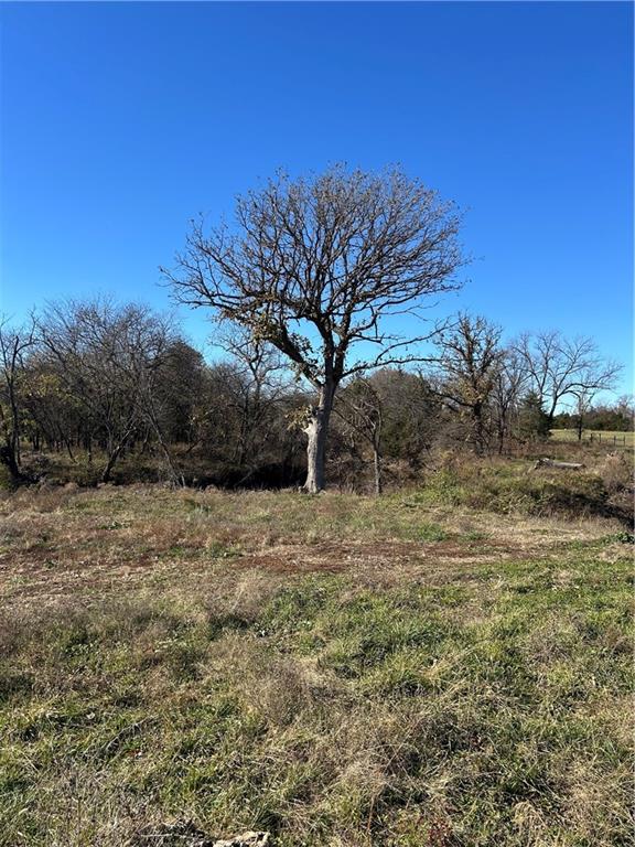 1350 Us 59 Highway Property Photo 3