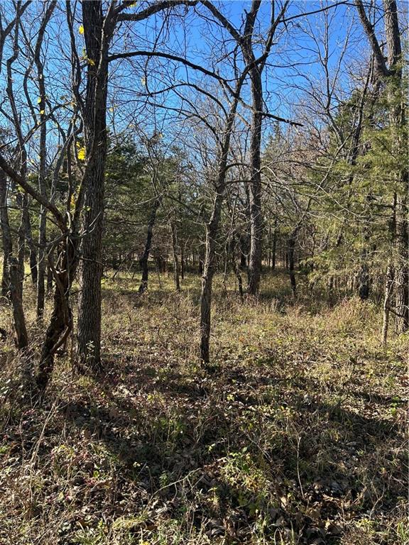1350 Us 59 Highway Property Photo 8