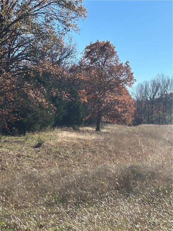 1350 Us 59 Highway Property Photo 11
