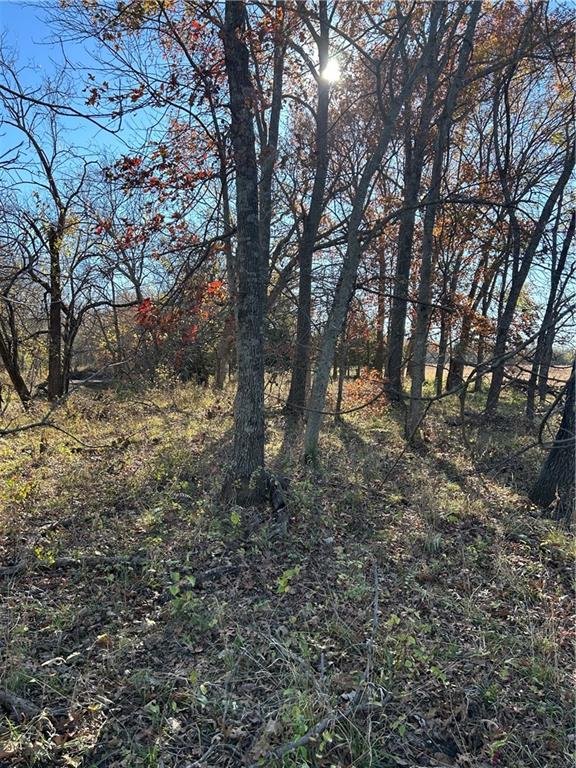1350 Us 59 Highway Property Photo 13