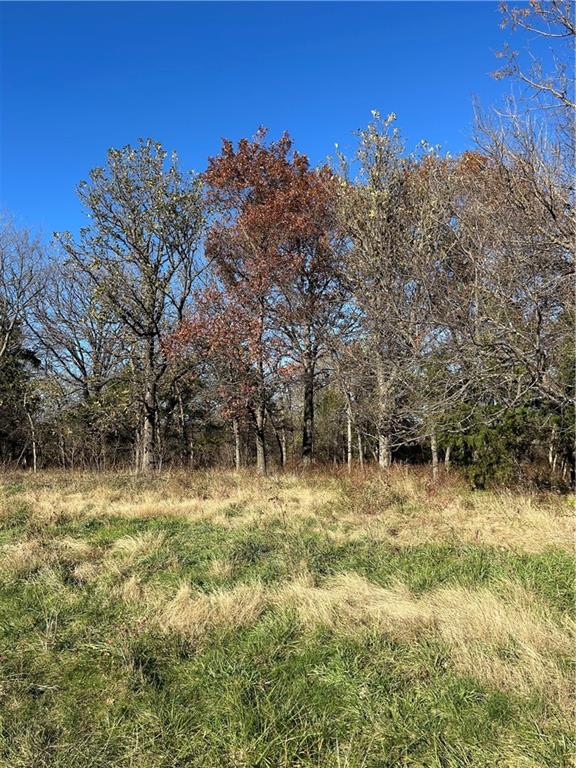 1350 Us 59 Highway Property Photo 15