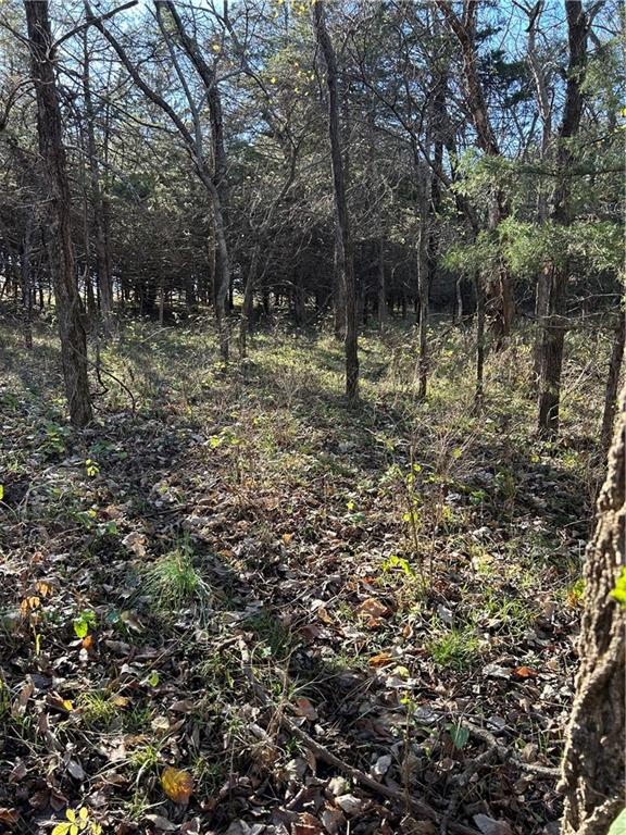 1350 Us 59 Highway Property Photo 18