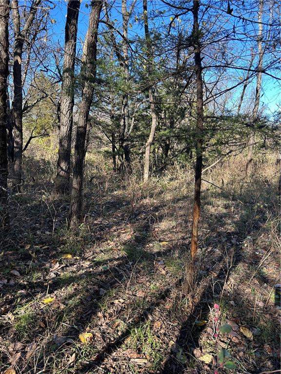 1350 Us 59 Highway Property Photo 20