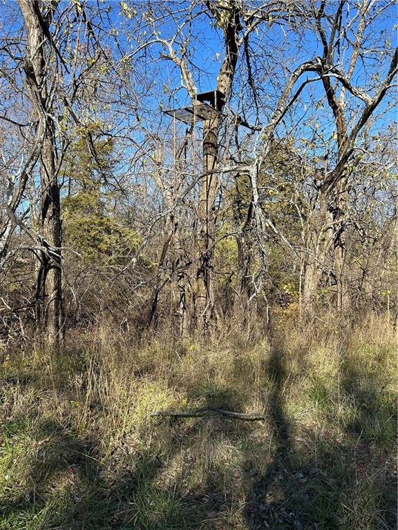 1350 Us 59 Highway Property Photo 24