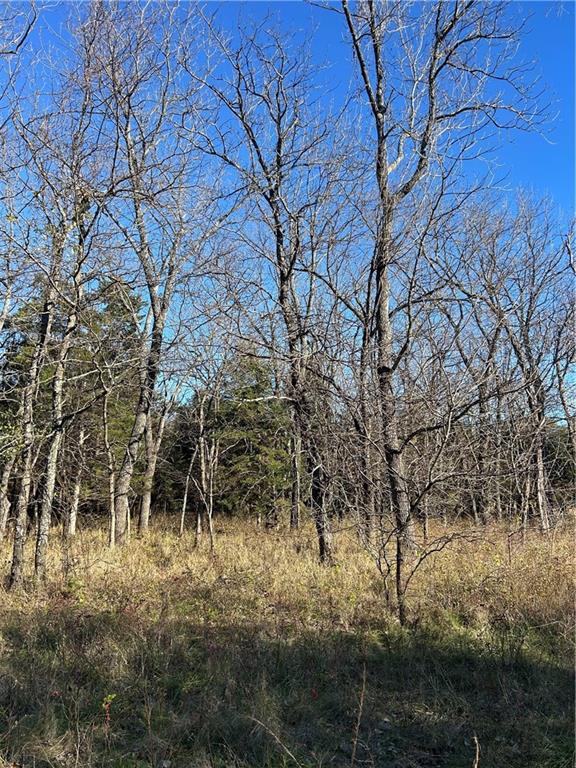 1350 Us 59 Highway Property Photo 26