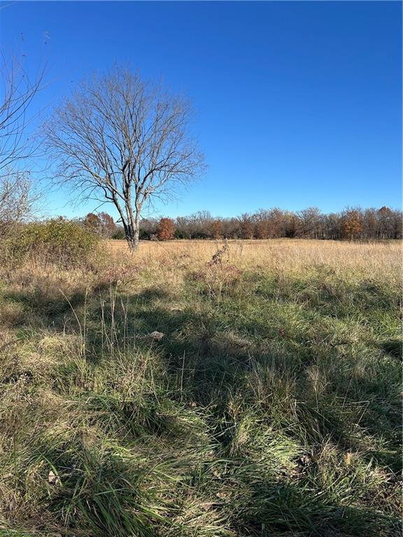 1350 Us 59 Highway Property Photo 30