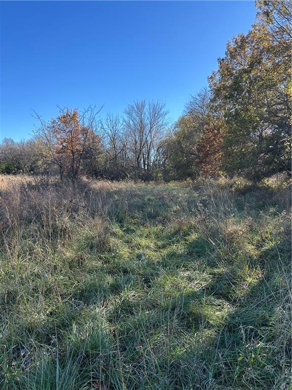 1350 Us 59 Highway Property Photo 31