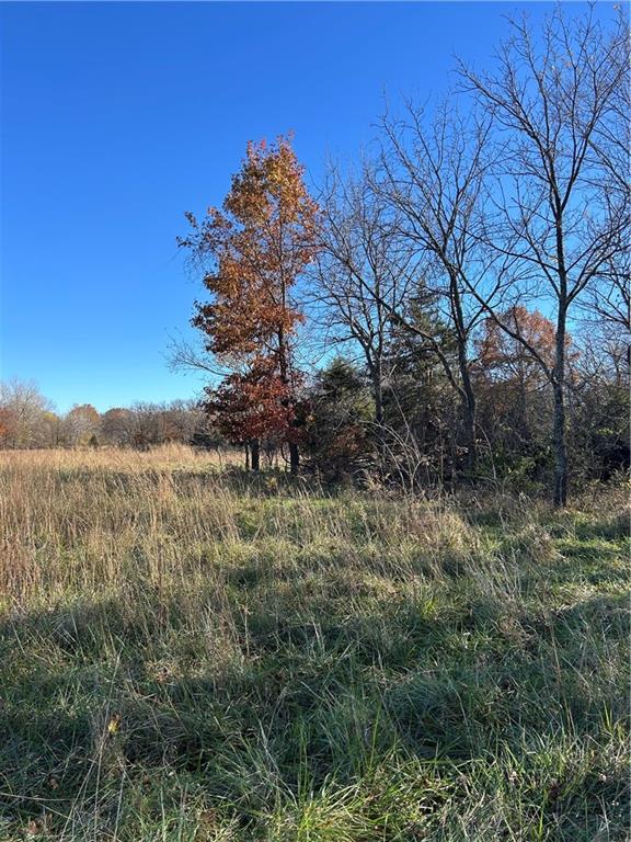 1350 Us 59 Highway Property Photo 32