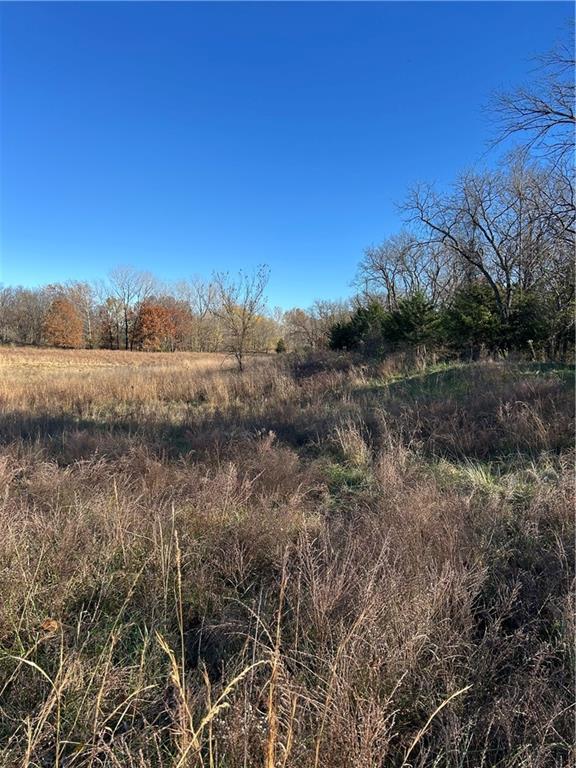 1350 Us 59 Highway Property Photo 33