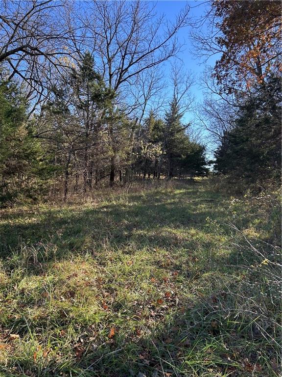 1350 Us 59 Highway Property Photo 35