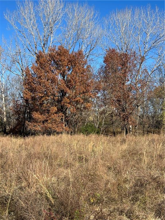 1350 Us 59 Highway Property Photo 38
