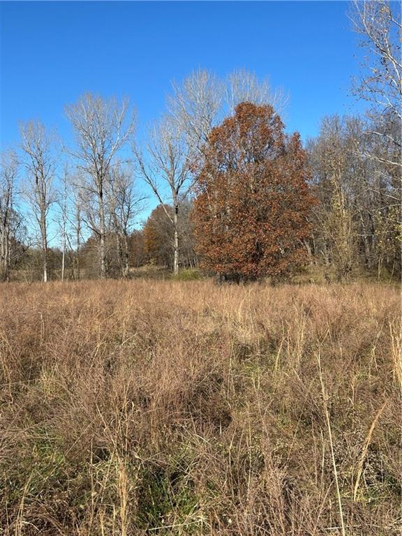 1350 Us 59 Highway Property Photo 39