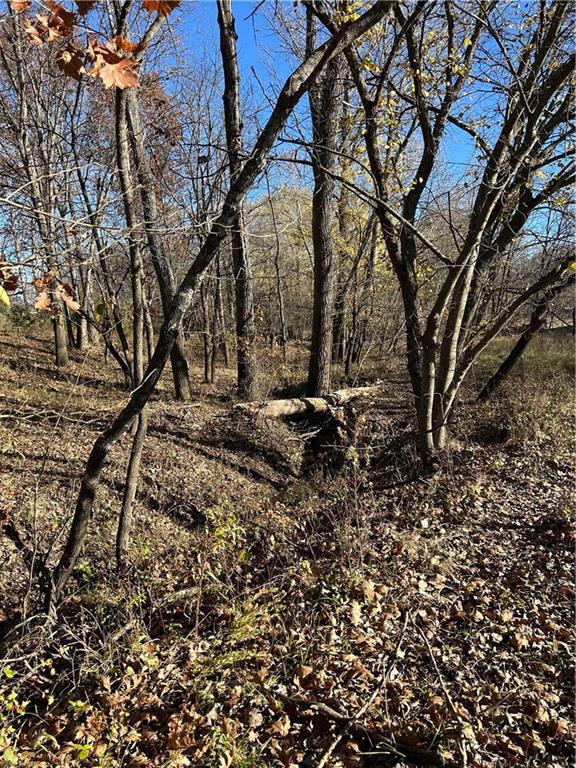 1350 Us 59 Highway Property Photo 40