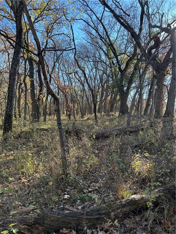 1350 Us 59 Highway Property Photo 52