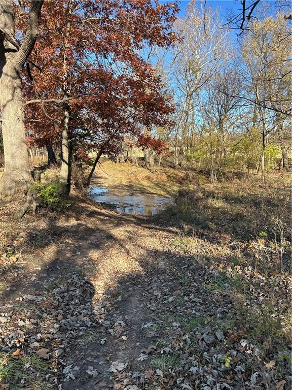1350 Us 59 Highway Property Photo 53