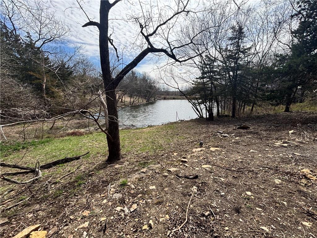 29 Whitetail Drive Property Photo 6