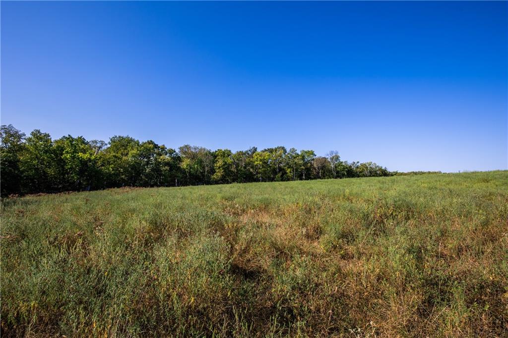 00000 Zinc Road Property Photo 17