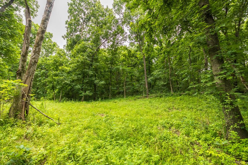 12625 Ww Highway Property Photo 45
