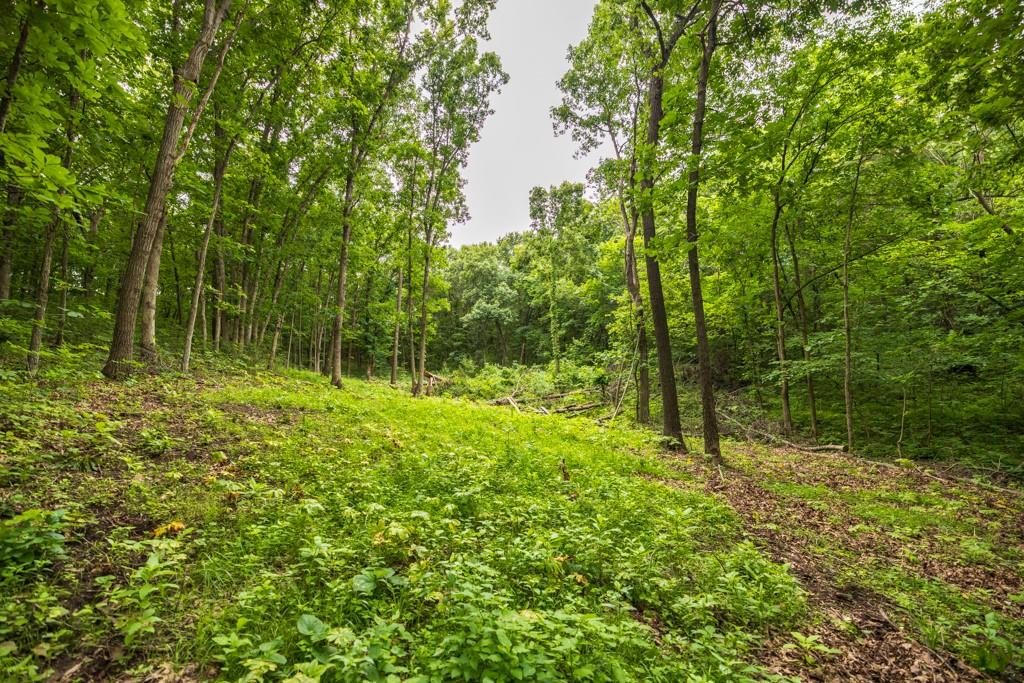 12625 Ww Highway Property Photo 49