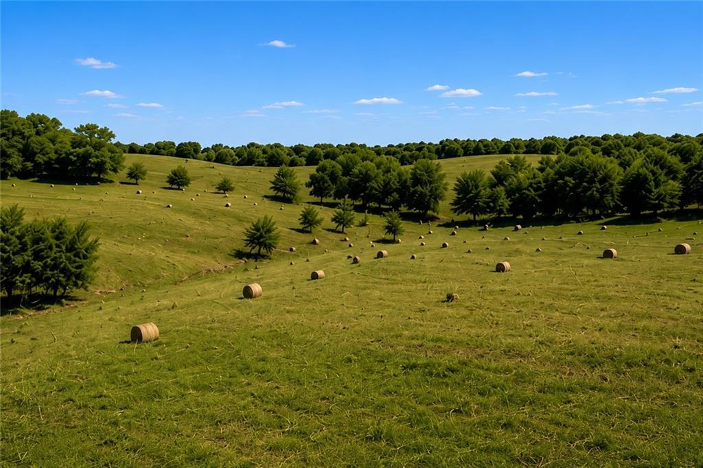 State Route O N/a Property Photo 14