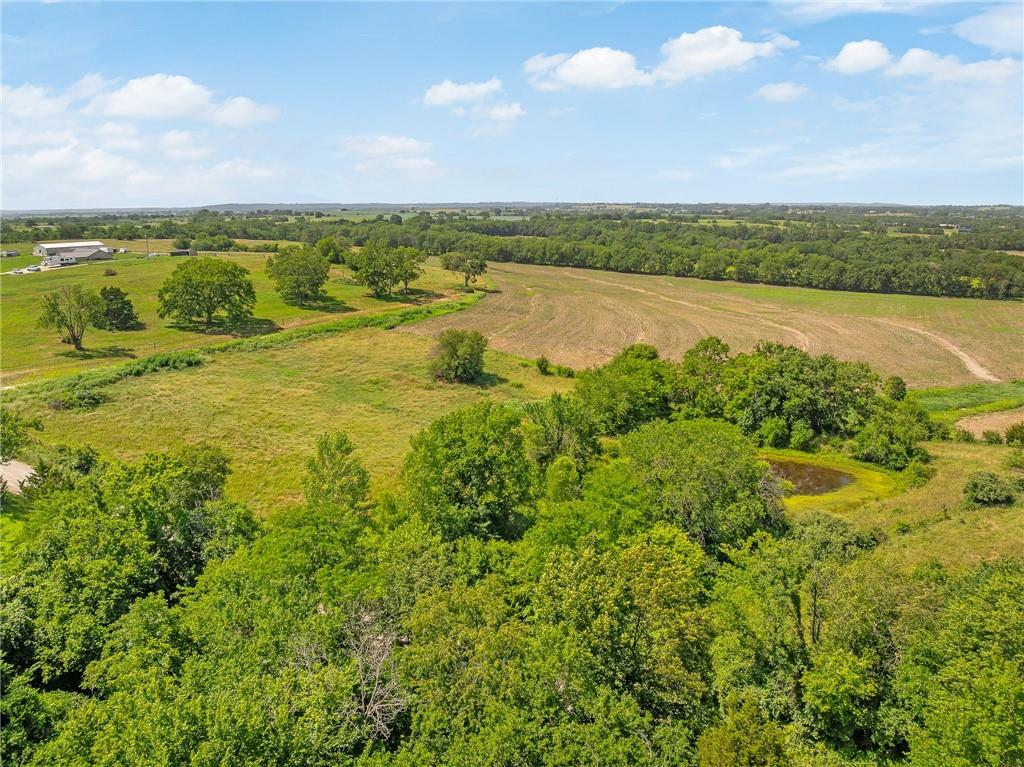 20800 Cantrell Road Property Photo 5