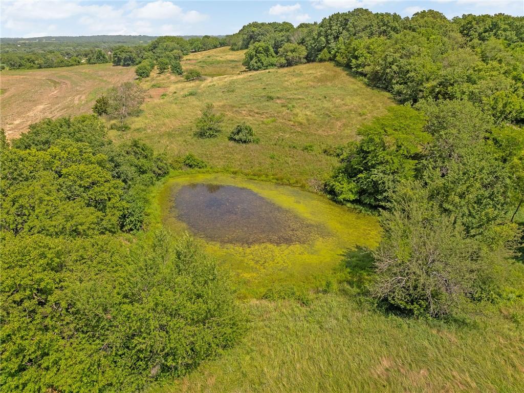 20800 Cantrell Road Property Photo 6