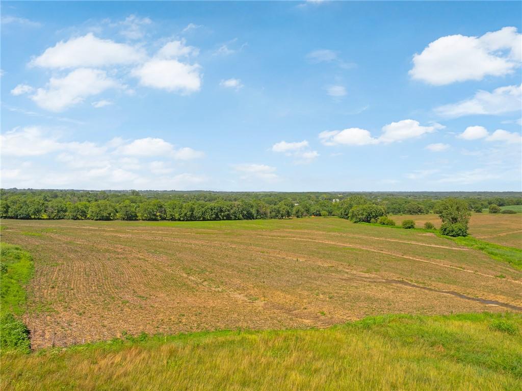 20800 Cantrell Road Property Photo 19