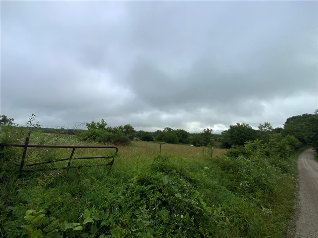 20800 Cantrell Road Property Photo 25