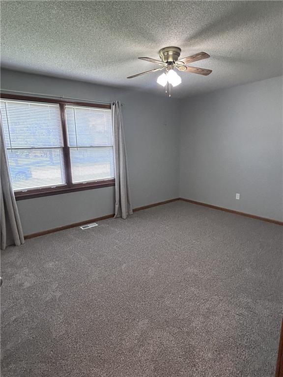 227 E Colleen Drive Property Photo 5