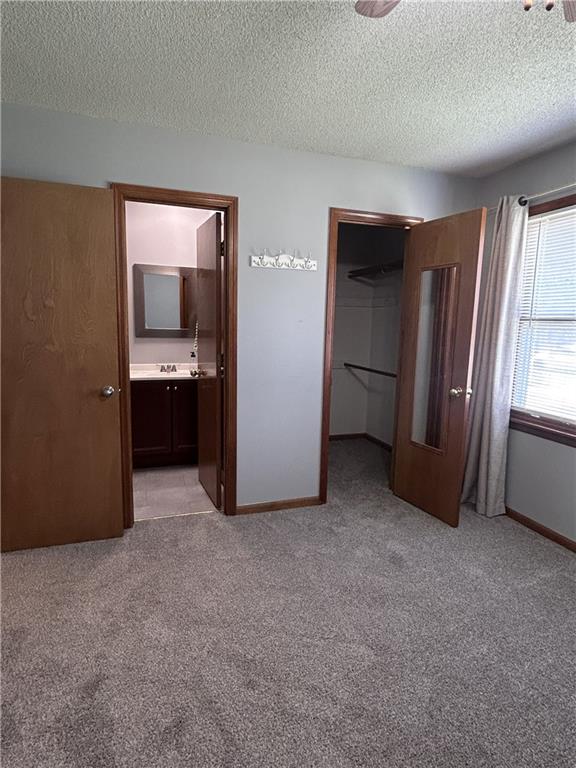 227 E Colleen Drive Property Photo 6